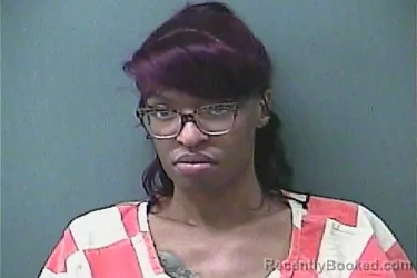 Mugshot of CHRISTOPHER WHITE booked in La Porte County, Indiana on March 28, 2026