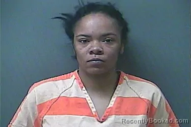 Mugshot of ERICA A COOPER booked in La Porte County, Indiana on March 29, 2026