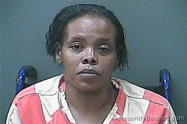 Mugshot of ERMA N HOGAN booked in La Porte County, Indiana on July 11, 2026