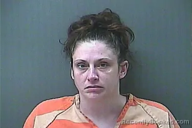 Mugshot of GINA T PANOZZO booked in La Porte County, Indiana on June 30, 2026