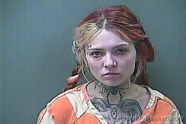 Mugshot of HEIDI SUZEETE EARL booked in La Porte County, Indiana on June 29, 2026