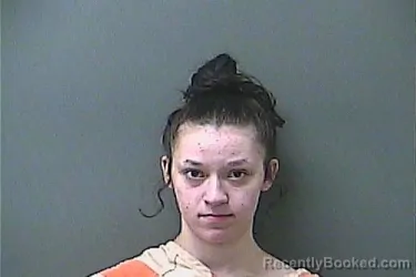 Mugshot of HANNAH M HENSELL booked in La Porte County, Indiana on April 28, 2026