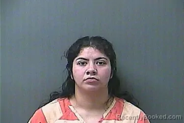 Mugshot of JOSLYN CAMPOS booked in La Porte County, Indiana on May 10, 2026