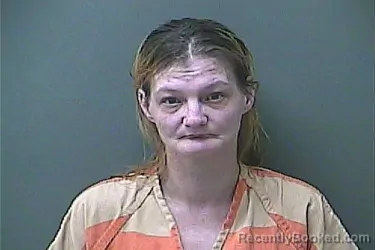 Mugshot of KAYLA MICHELLE MCGINNIS booked in La Porte County, Indiana on July 6, 2026