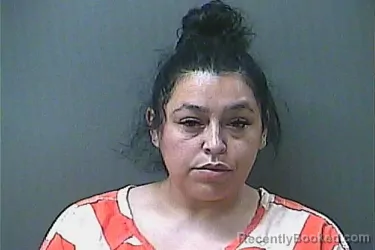 Mugshot of MELISSA C LEWIS booked in La Porte County, Indiana on July 2, 2026