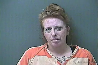 Mugshot of SHELBY STEGALL booked in La Porte County, Indiana on June 25, 2026