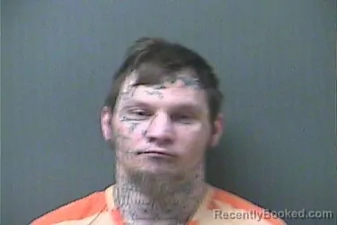 Mugshot of Timothy Lee Borman