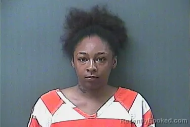 Mugshot of TESHYANA LAPREE COOPER booked in La Porte County, Indiana on April 25, 2026