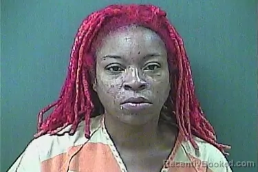 Mugshot of TIA HENRY booked in La Porte County, Indiana on June 20, 2026