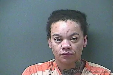 Mugshot of Tiera R Minandi booked in La Porte County, Indiana on September 13, 2026
