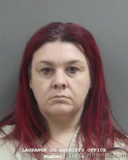 Mugshot of ERIN MICHELLE SILLS