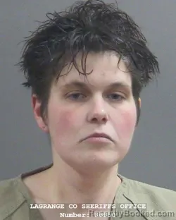 Mugshot of DANYELE BROOKE DAVIS