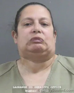 Mugshot of CHRISTINE IRENE TURNER booked in Lagrange County, Indiana on July 3, 2026