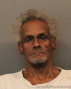 Mugshot of JESSIE LEE BRODIE