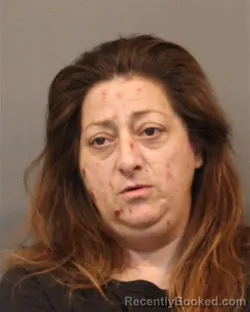 Mugshot of CONCHETTA THERESA CIRULLO booked in Lake County, Indiana on April 27, 2026