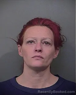 Mugshot of TERESA L FURNIFUR booked in Lake County, Indiana on June 27, 2026