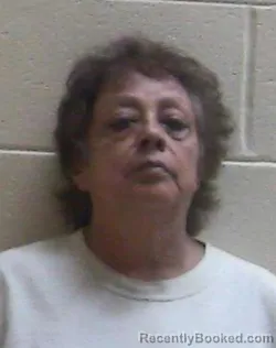 Mugshot of Alma Angel Maldonado booked in Lake County, Indiana on August 31, 2026