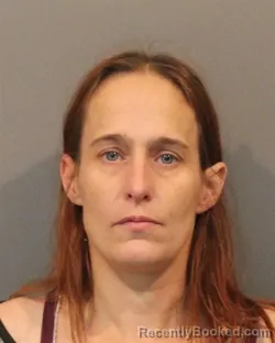 Booking photo from Lake County, Indiana