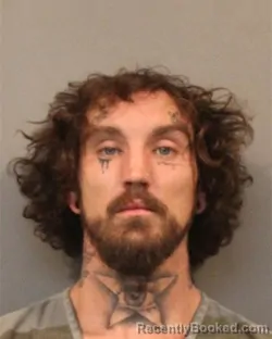 Mugshot of BRIAN PAUL INGRAM