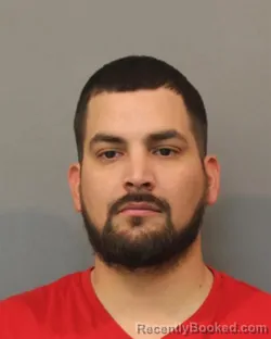 Mugshot of ANSELMO D BRISENO