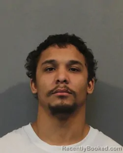 Mugshot of JAMES MICHAEL LOVE