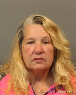 Mugshot of Susan Marie Zink booked in Lake County, Indiana on October 26, 2026