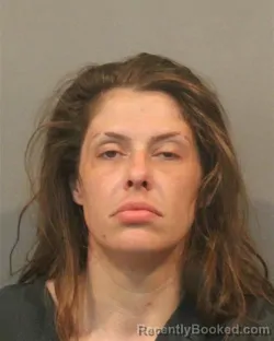 Mugshot of ERIN MICHELLE STEVENS