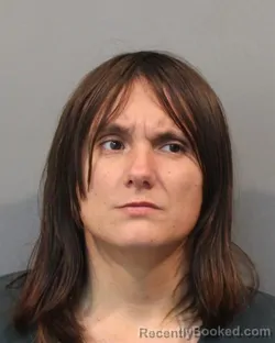 Mugshot of MEAGAN RENEE STERIOVSKI booked in Lake County, Indiana on July 5, 2026