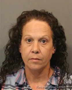 Mugshot of DIANA RAE CHABES