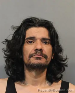 Mugshot of Valentin David Fernandez booked in Lake County, Indiana on August 28, 2026