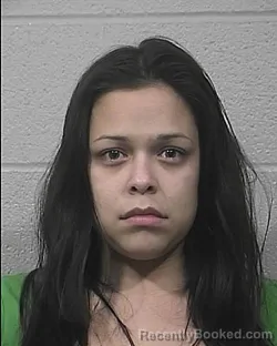 Mugshot of Vanessa Ann Agee booked in Lake County, Indiana on August 22, 2026
