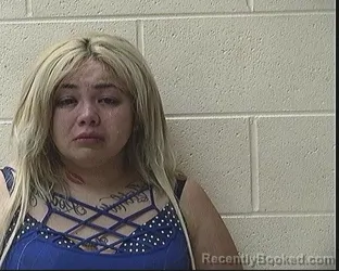 Mugshot of MONICA G VIRGEN