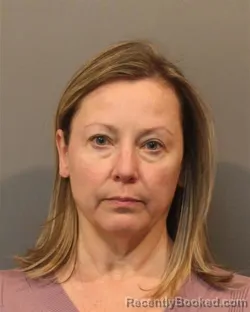 Mugshot of SUZETTE MARIE DAVID-BOYLE booked in Lake County, Indiana on June 19, 2026