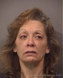 Mugshot of Karen Michelle Schane booked in Lake County, Indiana on August 23, 2026