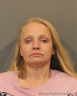 Mugshot of LISA LYNN WANDA booked in Lake County, Indiana on June 23, 2026