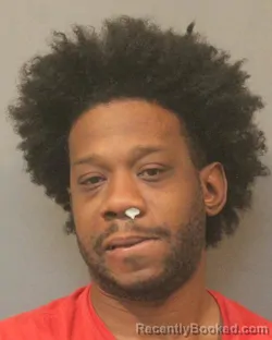 Mugshot of MICHAEL TERRELL MCINTEE