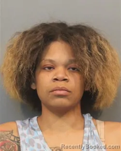 Mugshot of ALEXIS TYTEAUNA WILLIAMS booked in Lake County, Indiana on July 15, 2026