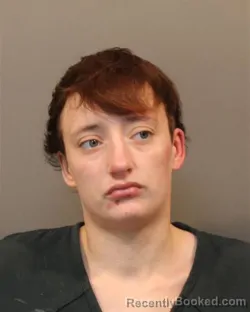 Booking photo from Lake County, Indiana