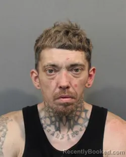 Mugshot of ROBERT JAMES LABAN