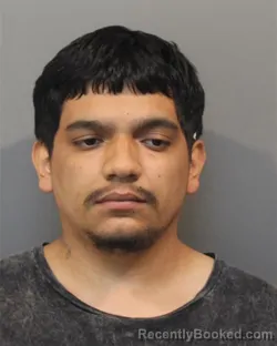 Booking photo from Lake County, Indiana