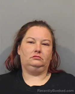 Mugshot of TINA LOUISE SEBOLT booked in Lake County, Indiana on July 6, 2026