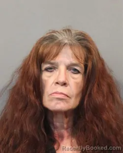 Mugshot of COLLEEN LYNN BIRCH