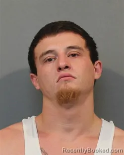 Mugshot of NATHAN NEWT WILSON