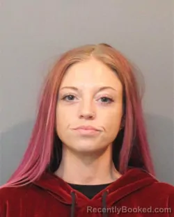 Mugshot of AUBREY ANNE ALLEE booked in Lake County, Indiana on June 23, 2026