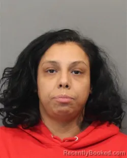 Mugshot of ANDREA HERNANDEZ booked in Lake County, Indiana on July 1, 2026