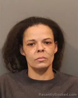 Mugshot of Patricia Ann Adkisson booked in Lake County, Indiana on September 3, 2026