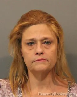 Mugshot of HEIDI NICOLE GAULT