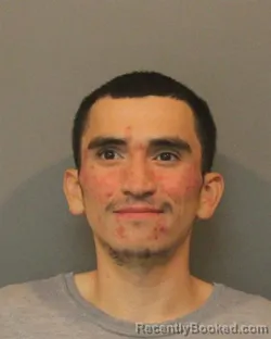Mugshot of LUIS FLORES booked in Lake County, Indiana on May 6, 2026