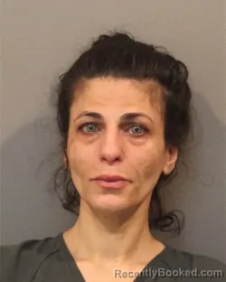 Mugshot of DINA DABBOUSEH booked in Lake County, Indiana on July 5, 2026