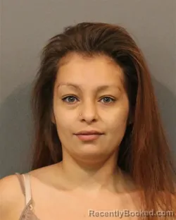 Mugshot of Nidia Eva Ruiz booked in Lake County, Indiana on August 16, 2026